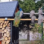 Beskidzka Ostoja