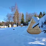 Beskidzka Ostoja Chalet Koszarawa