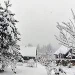Chalet Beskidzka Ostoja *