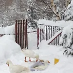 Chalet Beskidzka Ostoja *