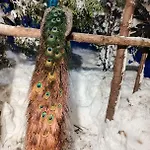 Beskidzka Ostoja Koszarawa