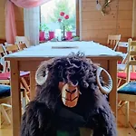 Beskidzka Ostoja *