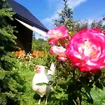 Chalet Beskidzka Ostoja