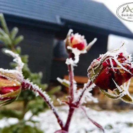 Chalet Beskidzka Ostoja *