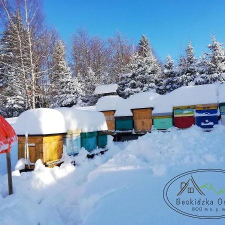 Chalet Beskidzka Ostoja *