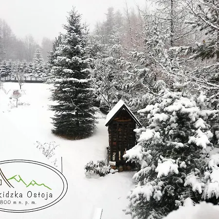 Beskidzka Ostoja Chalet Koszarawa