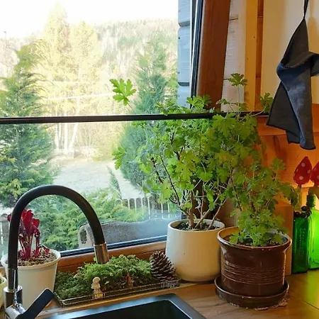 샬레 Beskidzka Ostoja Koszarawa