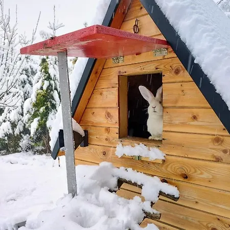 Beskidzka Ostoja 샬레 Koszarawa