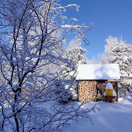 Chalet Beskidzka Ostoja *