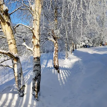 Chalet Beskidzka Ostoja *