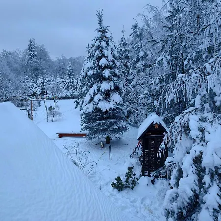 Beskidzka Ostoja Chalet Koszarawa