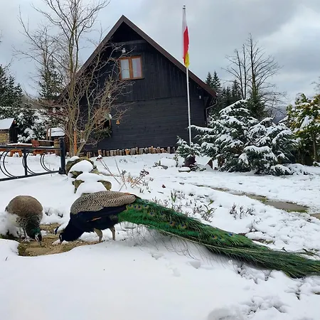 Beskidzka Ostoja *