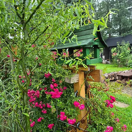 Beskidzka Ostoja * Koszarawa