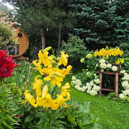 Beskidzka Ostoja 샬레