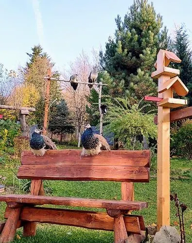 Beskidzka Ostoja Chalet