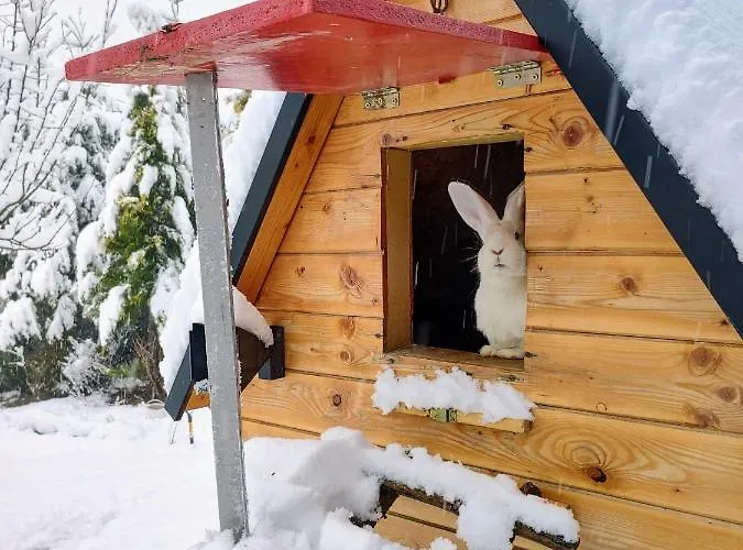 Beskidzka Ostoja Chalet Koszarawa