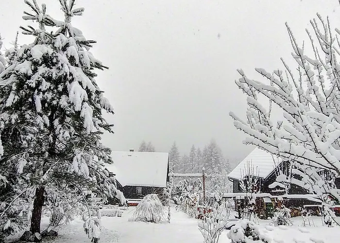 Chalet Beskidzka Ostoja *