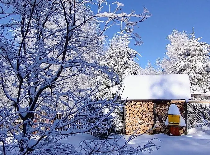 Σαλέ Beskidzka Ostoja *