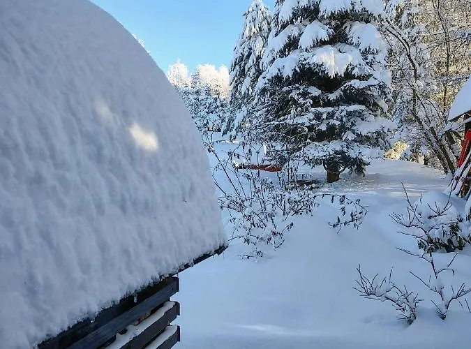 Σαλέ Beskidzka Ostoja