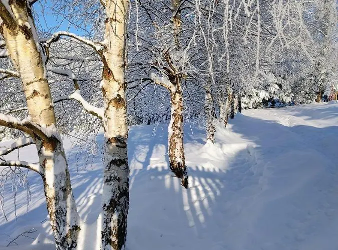 Chalet Beskidzka Ostoja *