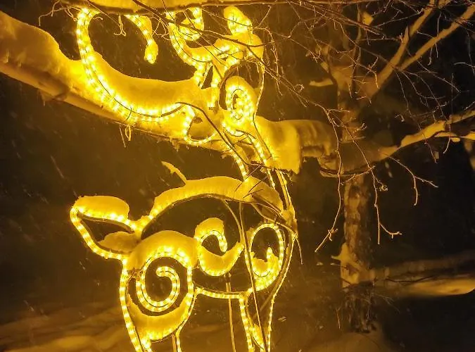 Beskidzka Ostoja Chalet *