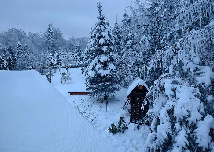 Beskidzka Ostoja Chalet Koszarawa