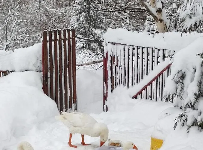 Chalet Beskidzka Ostoja *