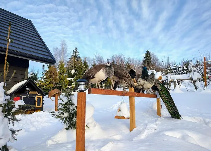 Beskidzka Ostoja Koszarawa