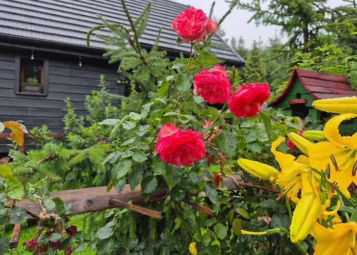 Chalet Beskidzka Ostoja *